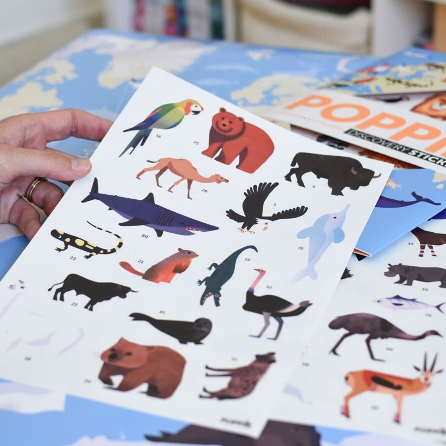 Poppik - Poster en stickers animaux du monde 5 ans et +