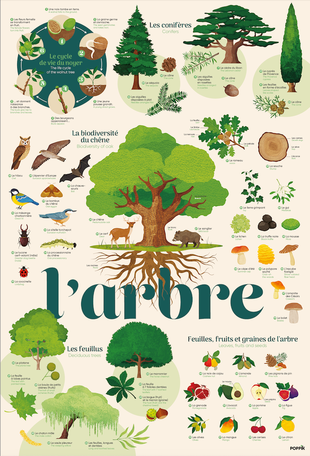 Poppik - Poster stickers Arbre 6 ans et +