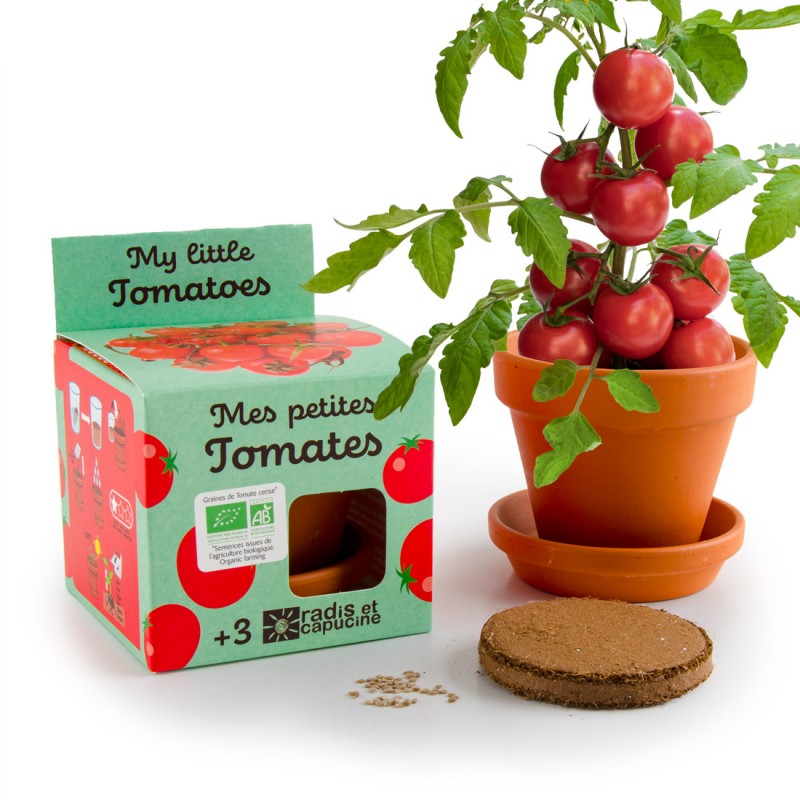 Radis et Capucine - Mes petites tomates