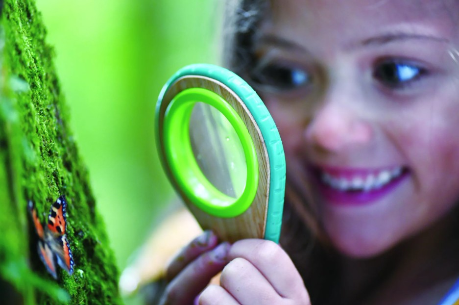 Hape - Kit de découverte de la Nature