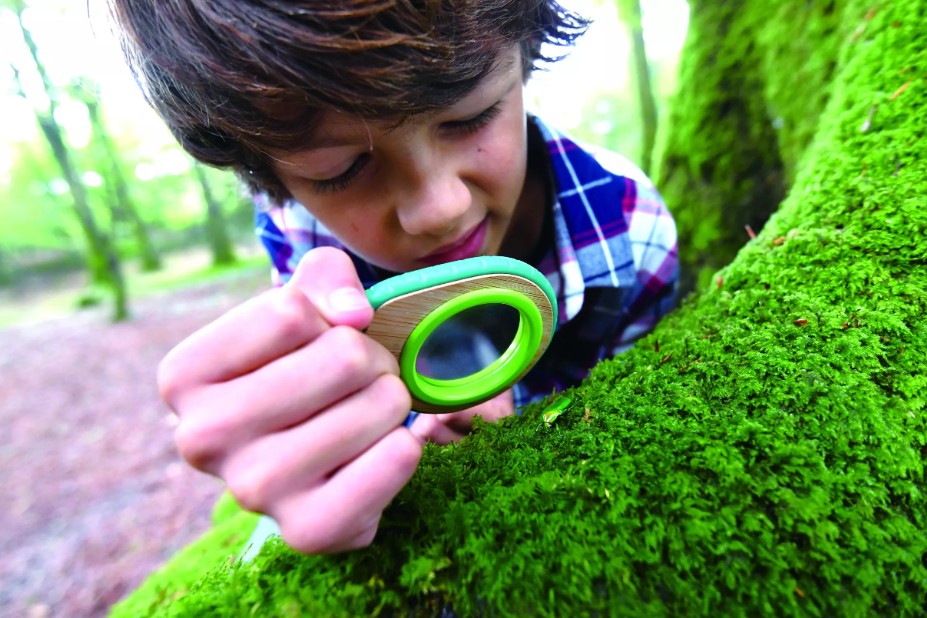 Hape - Kit de découverte de la Nature
