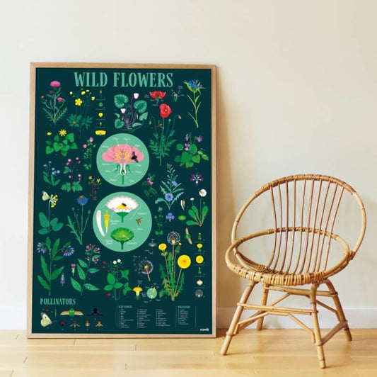 Poppik - Poster en stickers botanique 7 ans et +