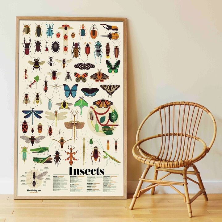 Poppik - Poster en stickers insectes 6 ans et +