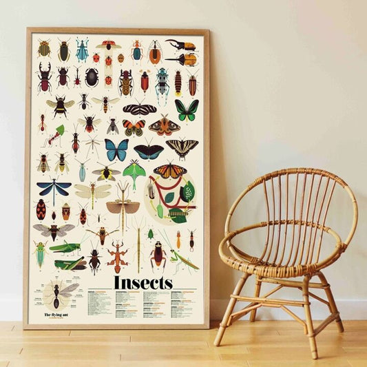 Poppik - Poster en stickers insectes 6 ans et +