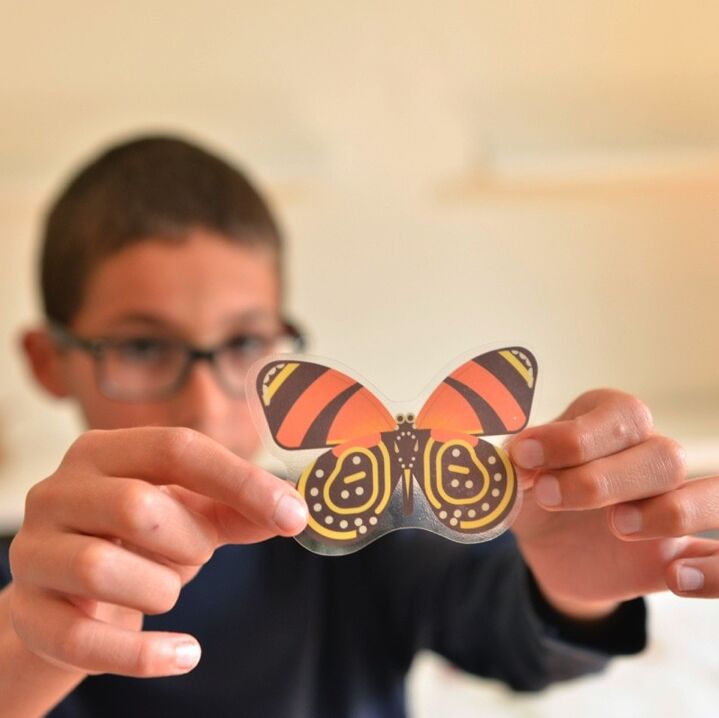 Poppik - Poster en stickers insectes 6 ans et +