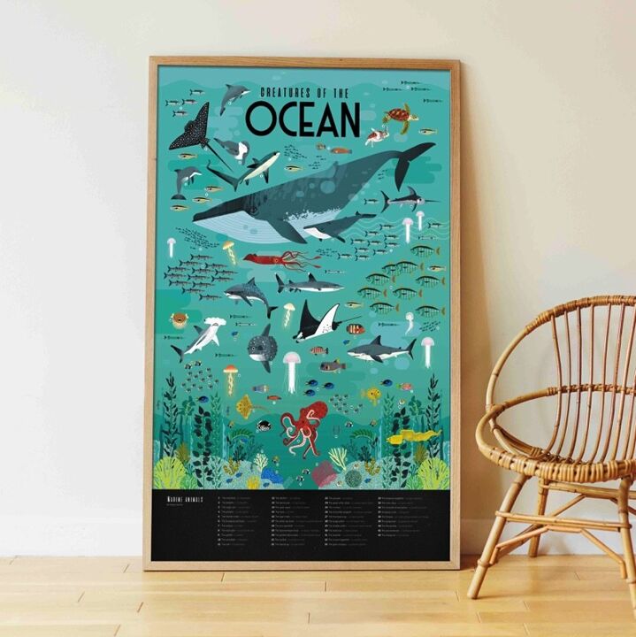Poppik - Poster en stickers océans 6 ans et +