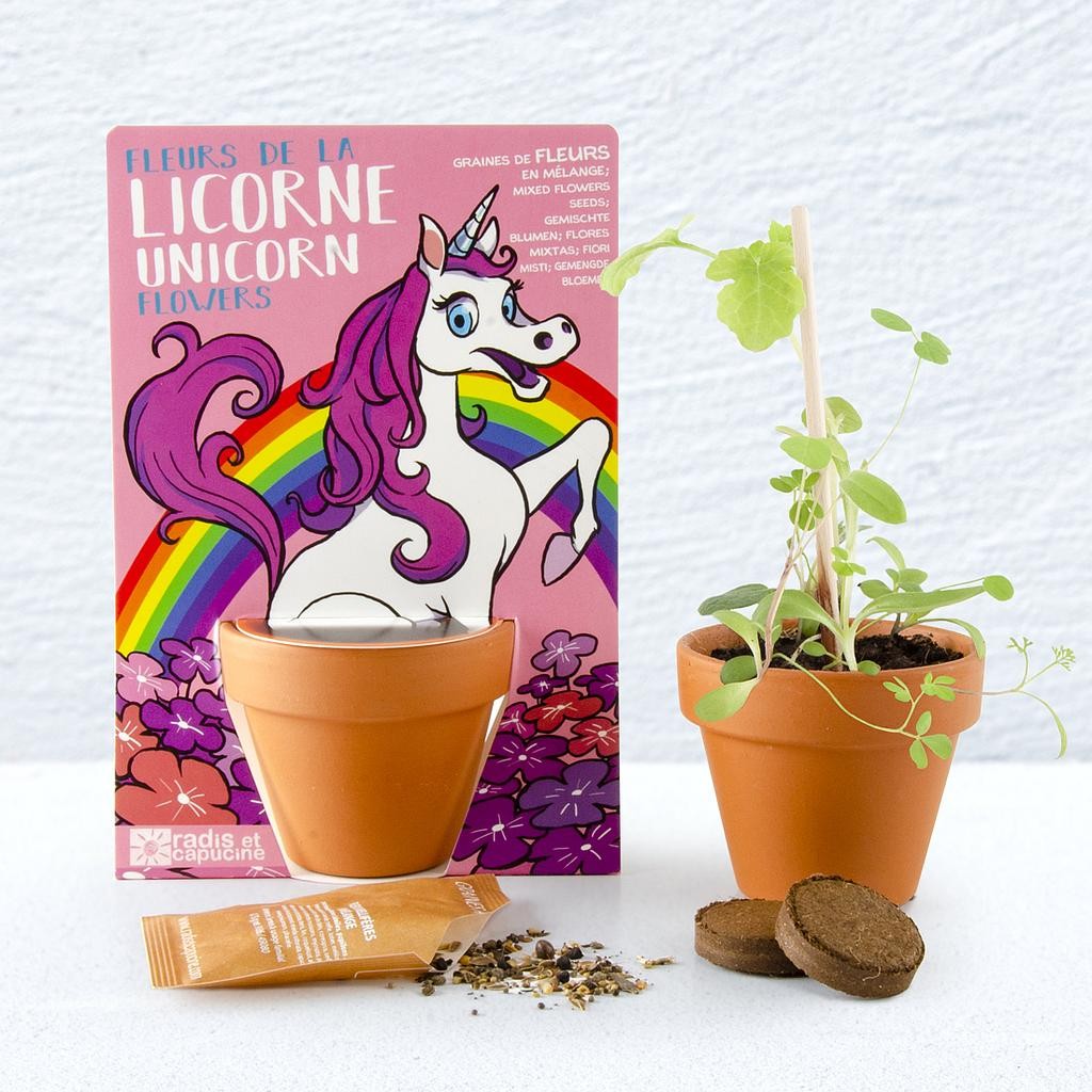 Radis et Capucine - La licorne et ses fleurs