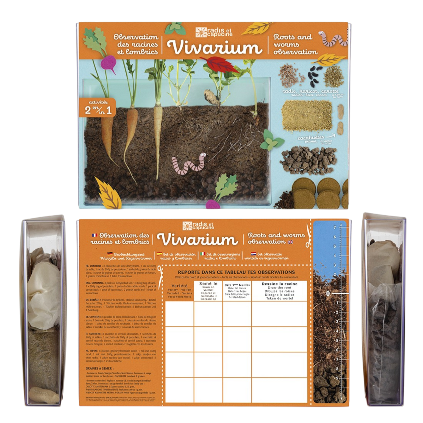 Radis et Capucine - Vivarium d'observation des racines