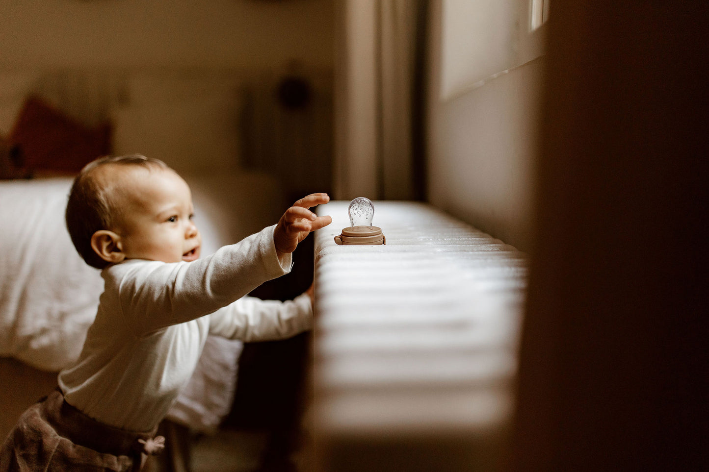 Zakuw - Tétine grignoteuse