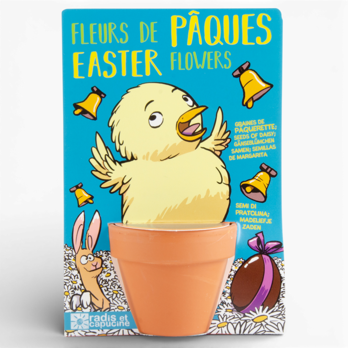 Kit d'activité éducative poussin de Pâques avec pot en terre cuite et graines de pâquerettes à semer - Radis et Capucine