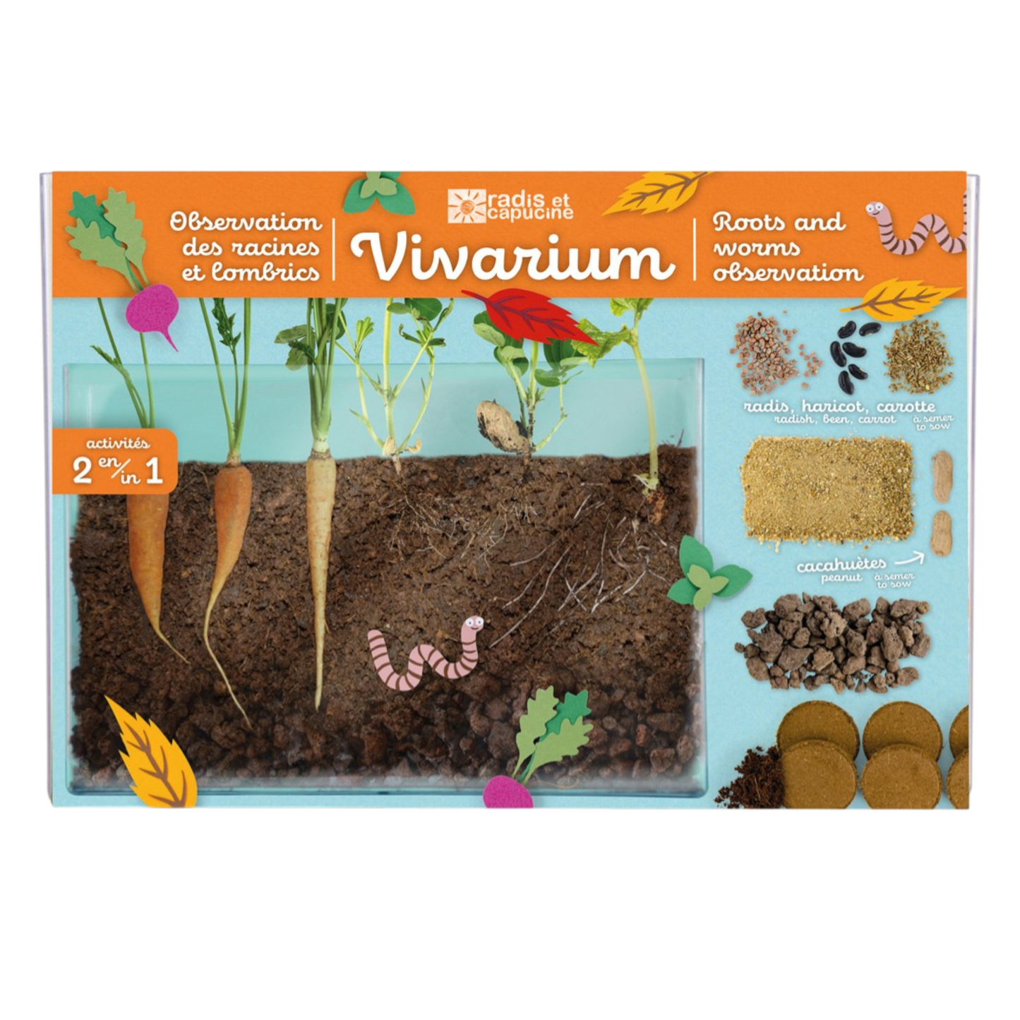 Coffret vivarium d'observation des racines et kit de jardinage pédagogique pour enfant - Radis et Capucine